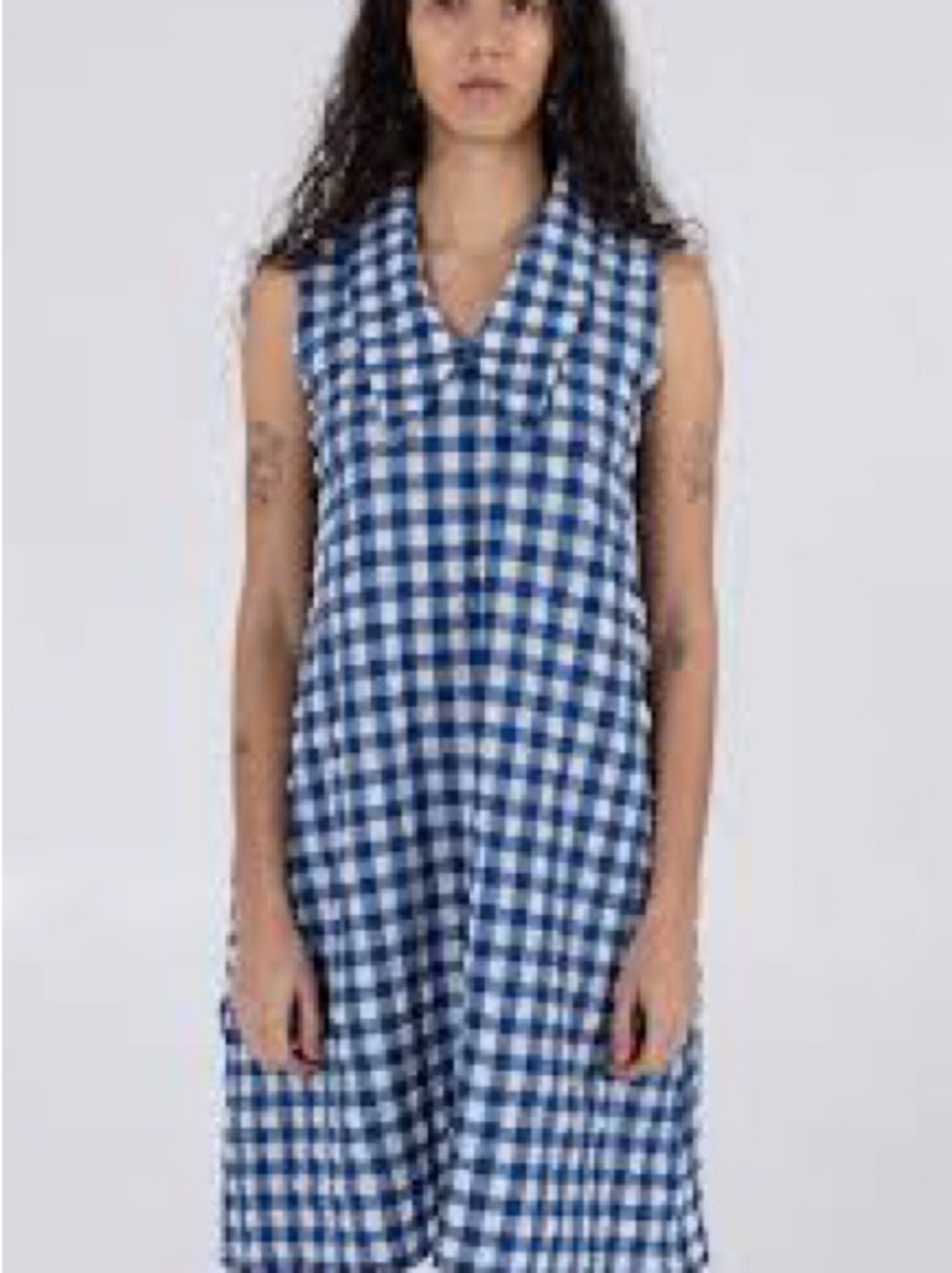 WRAY Blue and White Gingham Sleeveless Dress NWT